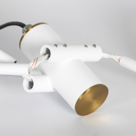 картинка Потолочная люстра на штанге Gilbert LSP-8827 от магазина BTSvet