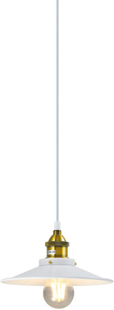 картинка Подвесной светильник V1341-1P Night 1*E27*60W от магазина BTSvet