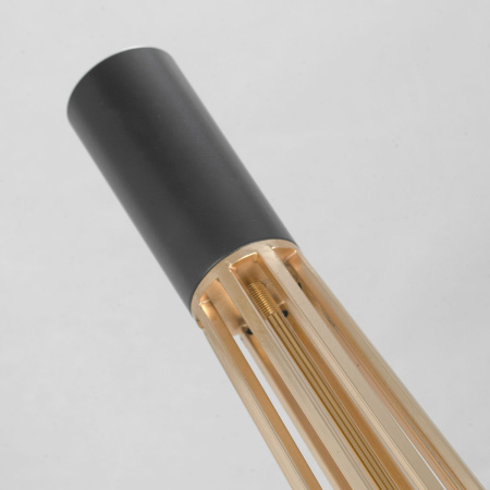 картинка Торшер LSP-0596 от магазина BTSvet