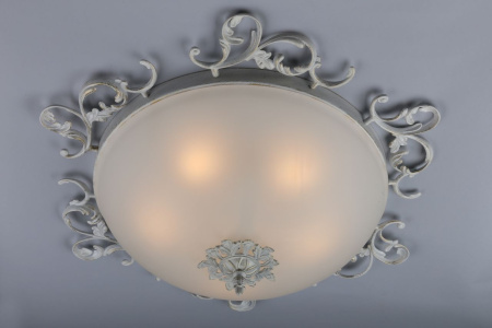 картинка Потолочный светильник OML-76517-05 от магазина BTSvet