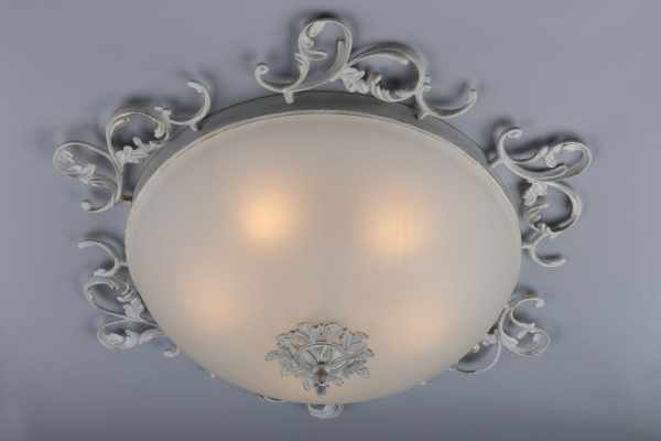 картинка Потолочный светильник OML-76517-05 от магазина BTSvet