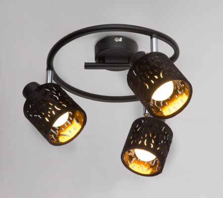 картинка Спот Troy 54121-3 от магазина BTSvet