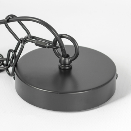 картинка Подвесная люстра Lussole Fremont LSP-8817 от магазина BTSvet