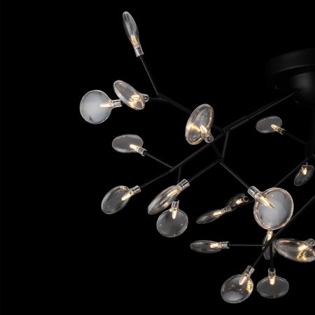 картинка Люстра потолочная Florencia FR5049CL-36B от магазина BTSvet