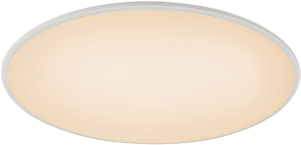 Потолочный светильник Slim 7975