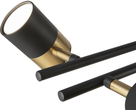 картинка Потолочная люстра на штанге Enzo FR5201PL-10B от магазина BTSvet