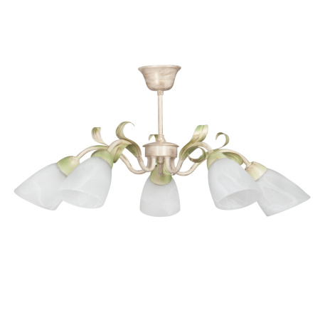 Потолочная люстра V1535/5PL