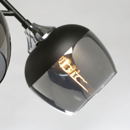 картинка Потолочная люстра Альфа 324016605 от магазина BTSvet