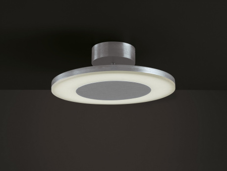 Потолочный светодиодный светильник Discobolo 4088