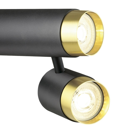 картинка Спот светодиодный Sauris LH8020/2C-BK-GD от магазина BTSvet