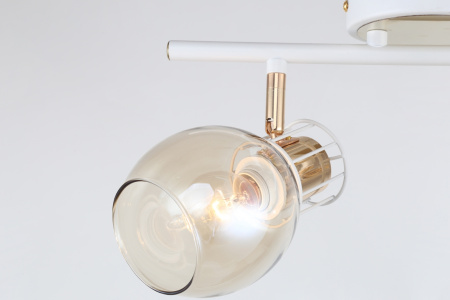 картинка Спот 1137/2A от магазина BTSvet