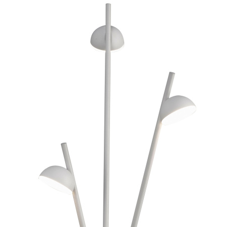 картинка Интерьерная настольная лампа Adn 6267 от магазина BTSvet