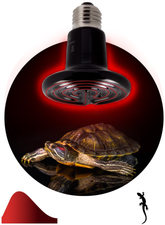 картинка Инфракрасная лампа ЗРА FITO-50W-НQ керамическая CeramiHeat RX для брудера, рептилий 50 Вт Е27 от магазина BTSvet