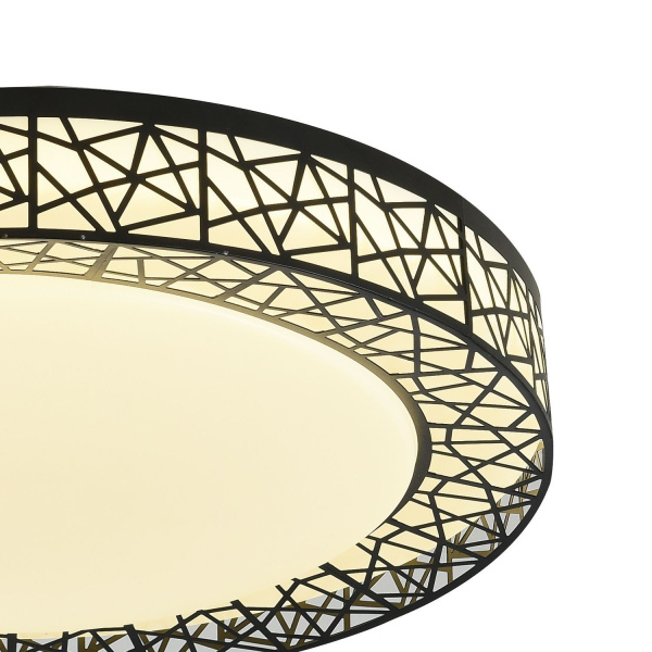 картинка Потолочный светильник Creatura 2315-5C от магазина BTSvet