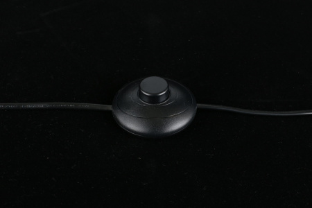 картинка Торшер с выключателем Iwona APL.742.05.01 от магазина BTSvet