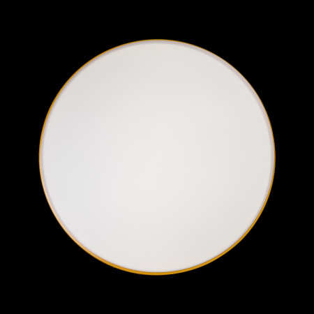 картинка Потолочный светильник светодиодный Axel 10001/36 Yellow от магазина BTSvet