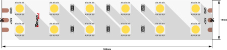 Светодиодная лента LUX DSG5120-24-W+WW-33