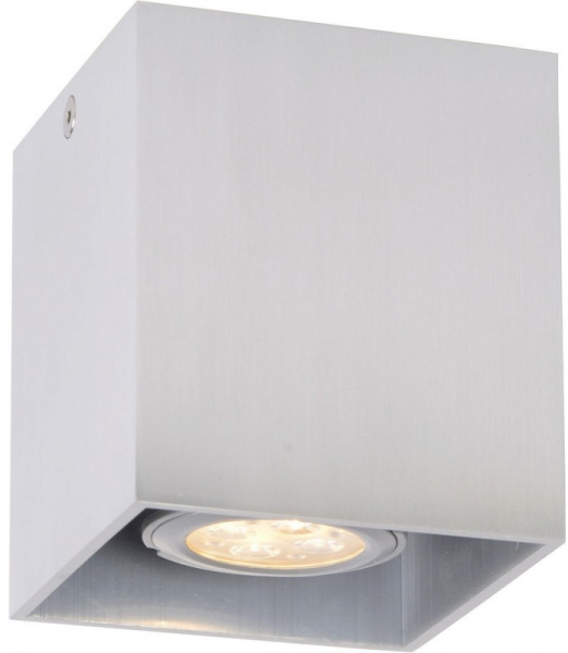 Точечный накладной светильник Bodi 09101/01/12