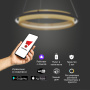 картинка Подвесная люстра светодиодная с пультом и управлением смартфоном регулировкой цветовой температуры и яркости ночным режимом Imperio 90241/1 от магазина BTSvet
