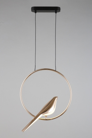 картинка Подвесной светильник светодиодный Astor APL.822.06.10 от магазина BTSvet