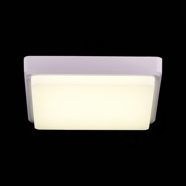 картинка Потолочный светильник светодиодный Taddio SLE200212-01 от магазина BTSvet