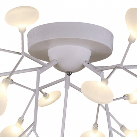 картинка Потолочная люстра Skein 2479-9U от магазина BTSvet