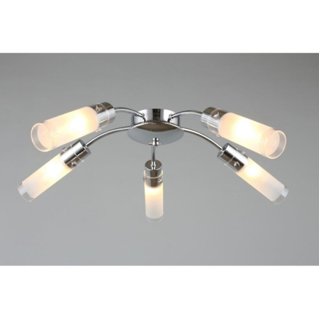 картинка Потолочная люстра OML-28707-05 от магазина BTSvet