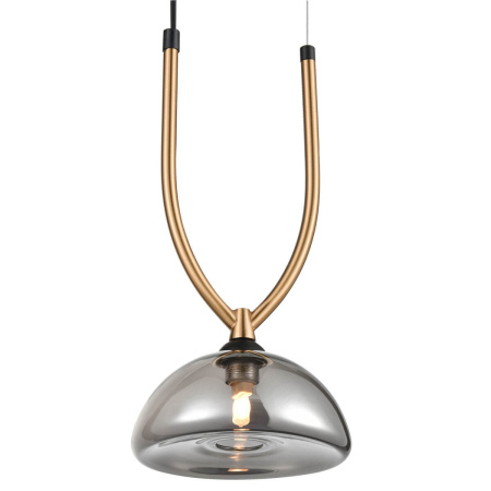 картинка Подвесной светильник Cloe VL5434P01 от магазина BTSvet