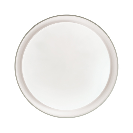 картинка Настенно-потолочный светильник Bionic 3030/DL от магазина BTSvet