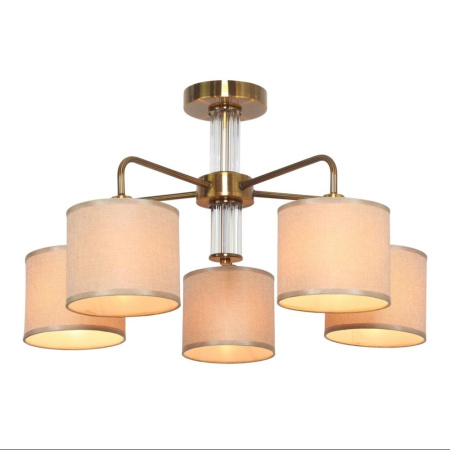 Потолочная люстра Barumini OML-56907-05