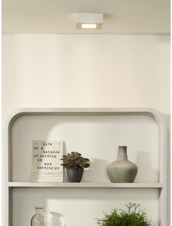 картинка Потолочный светодиодный светильник Brice-led 28107/11/31 от магазина BTSvet