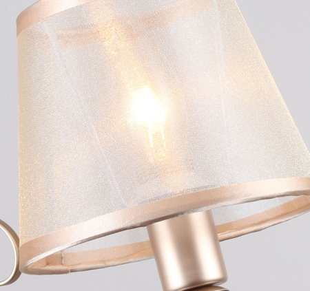 картинка Бра Teneritas 2553-1W от магазина BTSvet