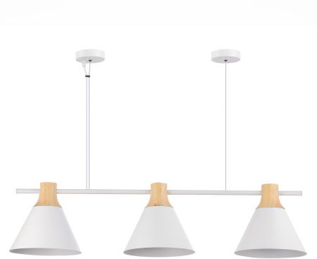 Подвесной светильник Evoluce Modica SLE125103-03