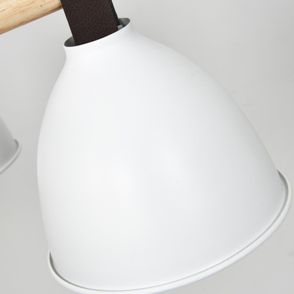 картинка Потолочная люстра FLAN 8 от магазина BTSvet