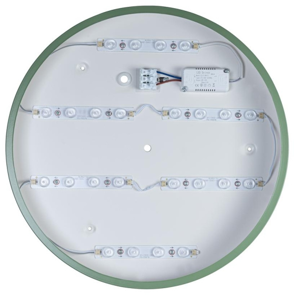 картинка Потолочный светильник светодиодный Axel 10002/24 Green от магазина BTSvet