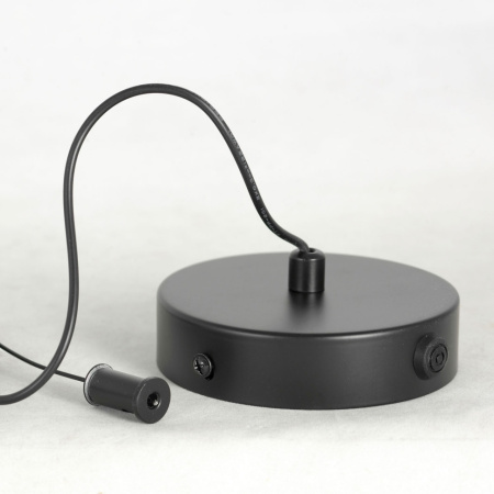 картинка Подвесной светильник LSP-7016 от магазина BTSvet