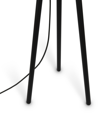 картинка Торшер Calvin Z177FL-01B от магазина BTSvet