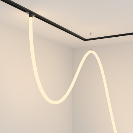 картинка Трековый подвесной светильник 48V Tau TR101-2-100W3K-B от магазина BTSvet