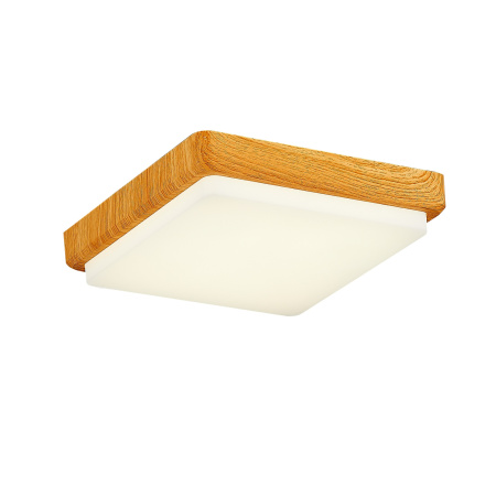 Потолочный светильник светодиодный Taddio SLE200202-01