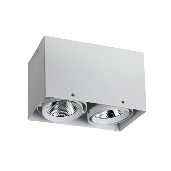 Точечный светодиодный накладной поворотный светильник Flashled 1986-2U