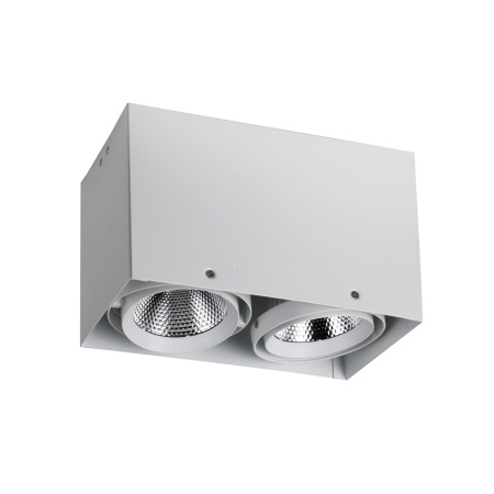 Точечный светодиодный накладной поворотный светильник Flashled 1986-2U