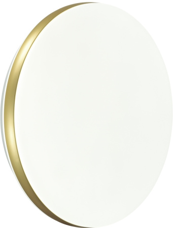 картинка Настенно-потолочный светильник Ringo 7626/AL от магазина BTSvet