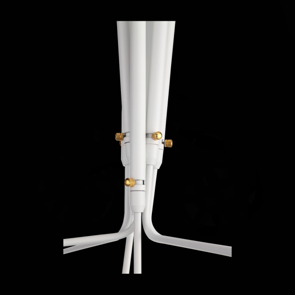 картинка Потолочная люстра Spruzzo SL305.502.06 от магазина BTSvet