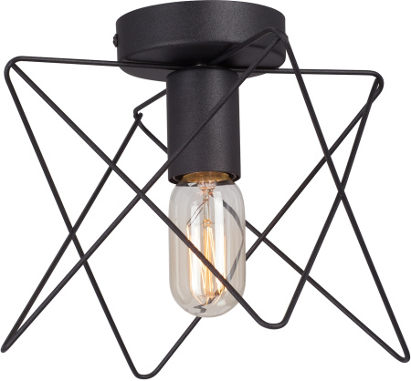 Потолочный светильник V4721-1/1PL