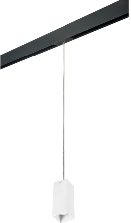 Трековый светильник однофазный 220V Lightstar Rullo PRORP386