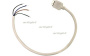 картинка Коннектор выводной FIX-RGB-M-20cm (Arlight) 020776 от магазина BTSvet