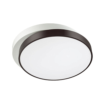 Потолочный светильник светодиодный с пультом Agatha 4509/72CL