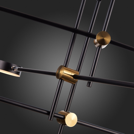 картинка Потолочная люстра светодиодная Rodrigo SL1604.432.06 от магазина BTSvet