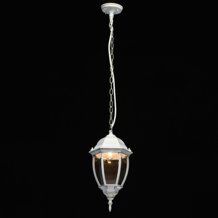 картинка Уличный светильник подвесной Фабур 804010801 IP44 от магазина BTSvet