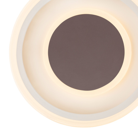 картинка Потолочный светильник светодиодный Goffi 48398-24 от магазина BTSvet